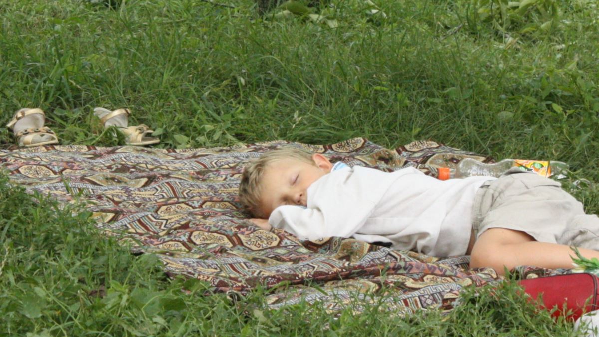 خواب و حافظه