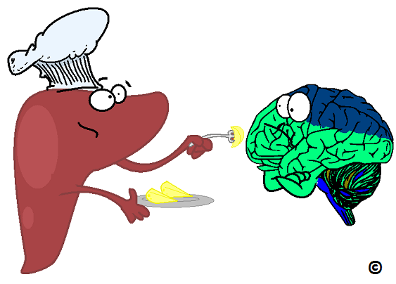 کبد چرب و مغز