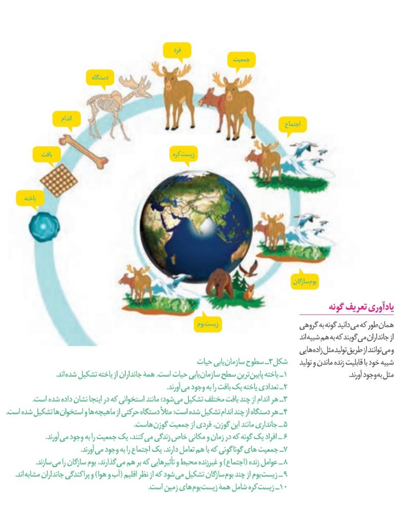 جاندار