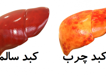 تاثیر کبد بر قلب