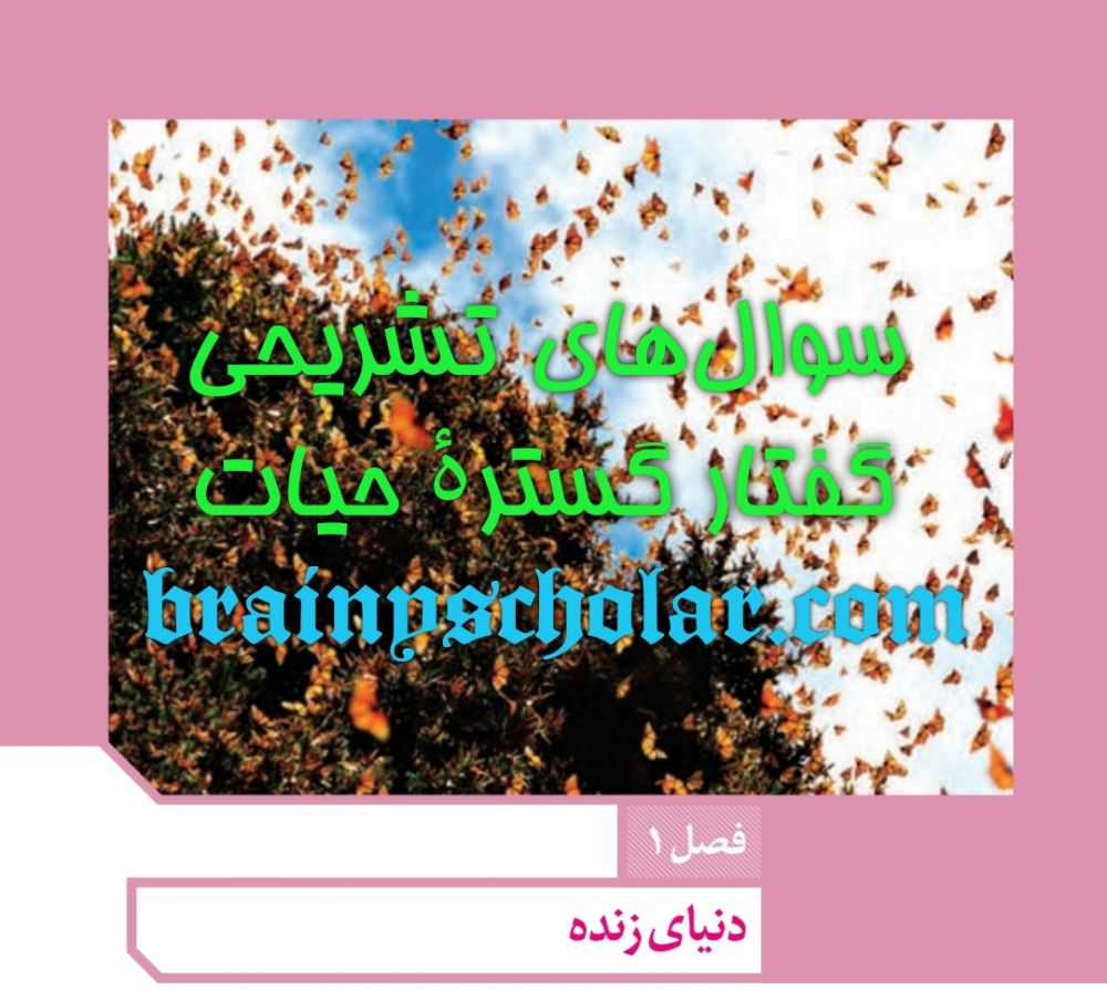 گستره حیات