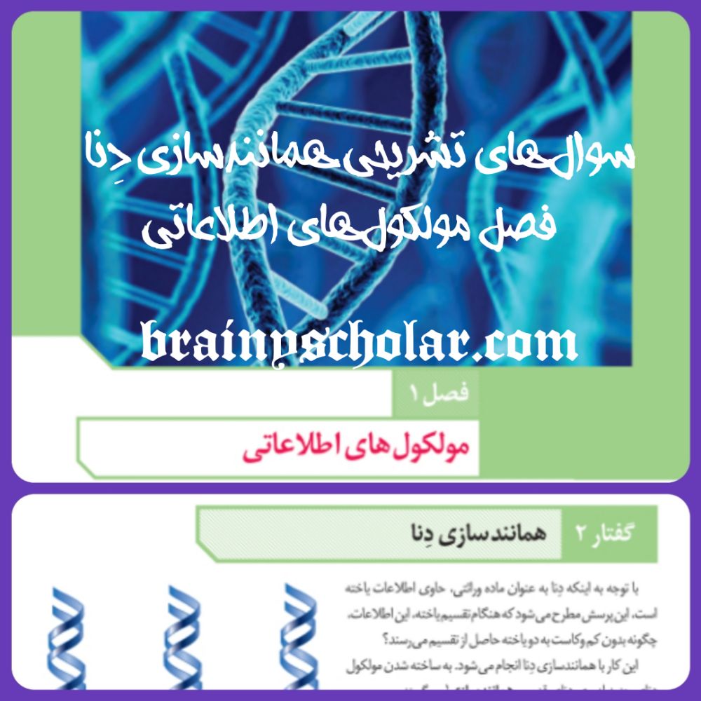 سوال های تشریحی فصل مولکول های اطلاعاتی