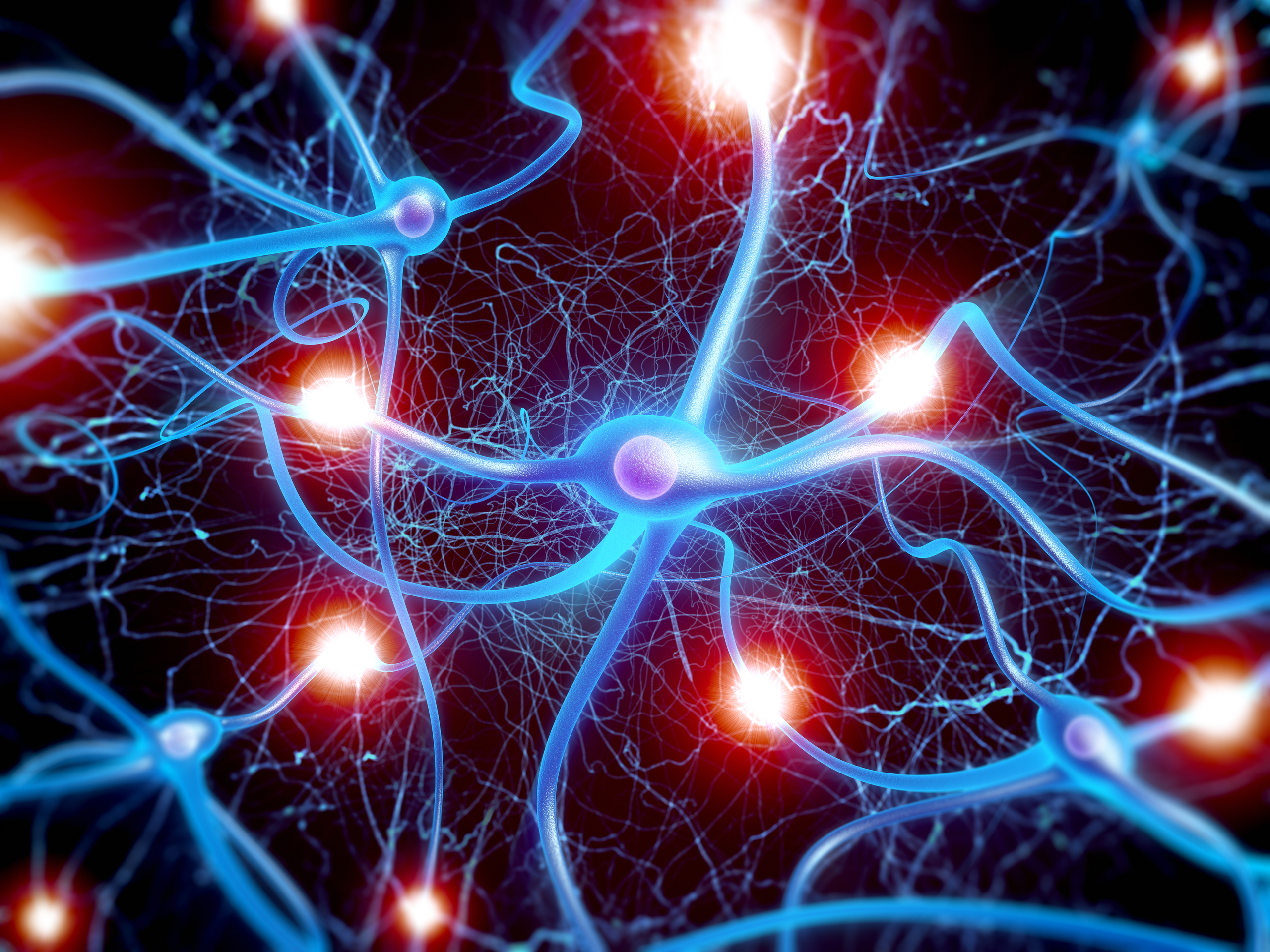 Скорость импульса мозга. Нейроны. Нервные клетки мозга. Нейроны головного мозга. Сеть нейронов в мозге.