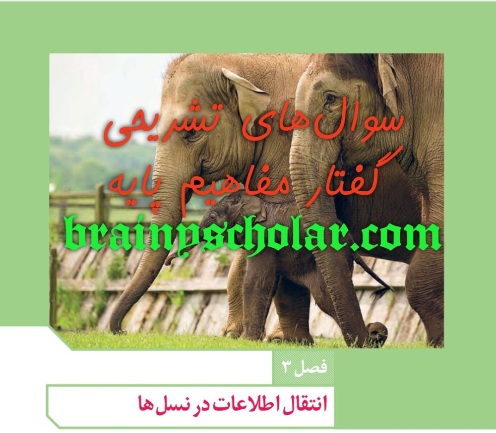 سوال تشریحی گفتار مفاهیم پایه