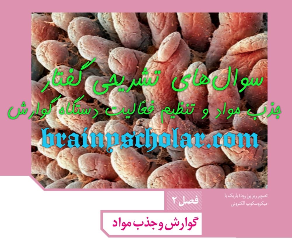 سوال‌های تشریحی گفتار جذب مواد
