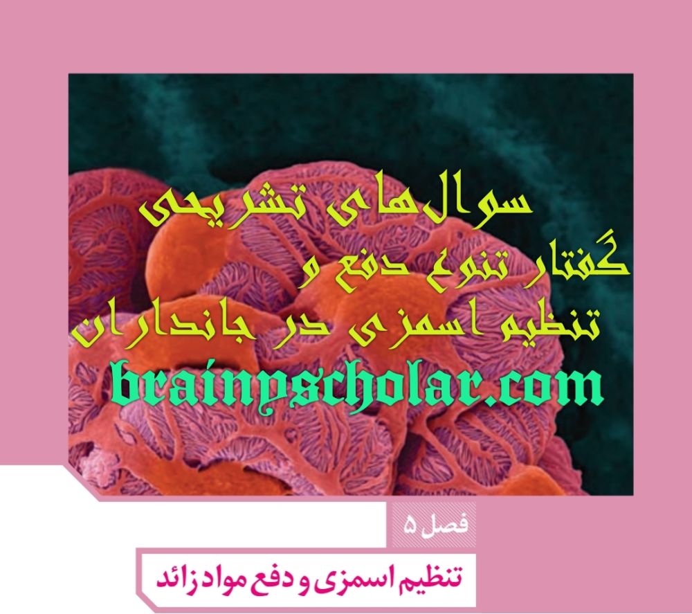 گفتار تنوع دفع و تنظیم اسمزی در جانداران