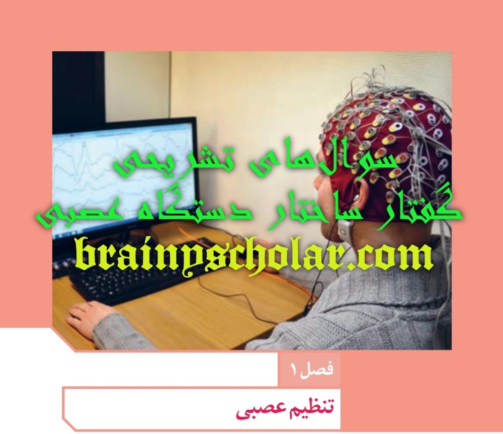 سوال های تشریحی گفتار ساختار دستگاه عصبی