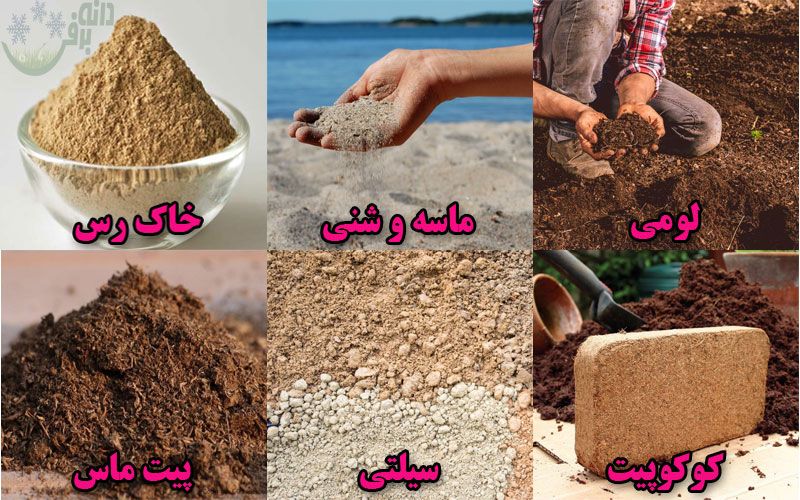 خاک