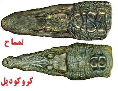 تمساح