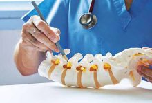 مسیرهای عصبی نخاع چیست؟ بررسی تراکت‌ها، فاسیکولوس‌ها و لامیناهای رکسد
