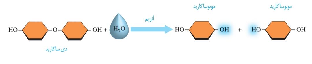 آبکافت یک دی‌ساکارید