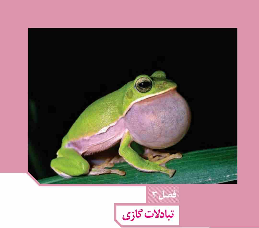 تبادلات گازی