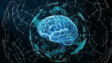 سوالات دکتری علوم اعصاب سال ۱۴۰۱-۱۴۰۰: مباحث نوروآناتومی با پاسخ‌های تشریحی