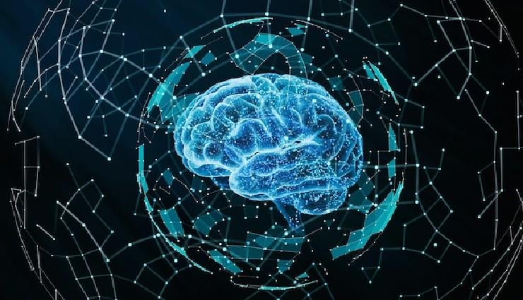 سوالات دکتری علوم اعصاب سال ۱۴۰۱-۱۴۰۰: مباحث نوروآناتومی با پاسخ‌های تشریحی