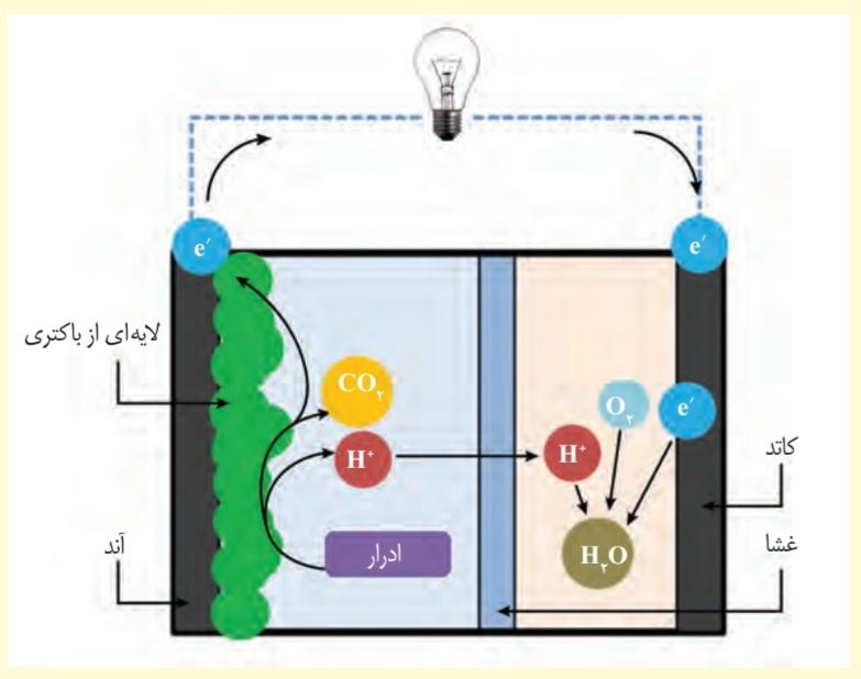تولید برق از ادرار: پیوند علم و فناوری