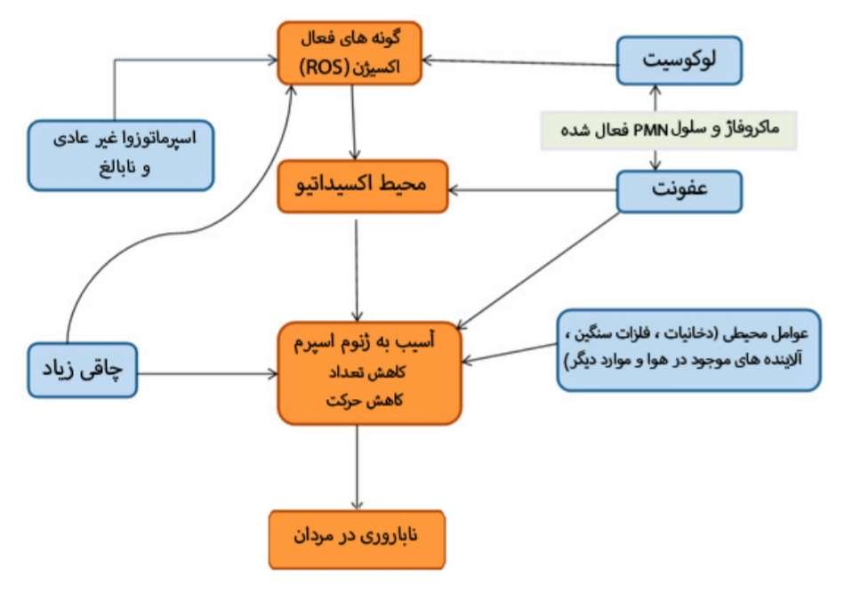 اختلالات متابولیسمی
