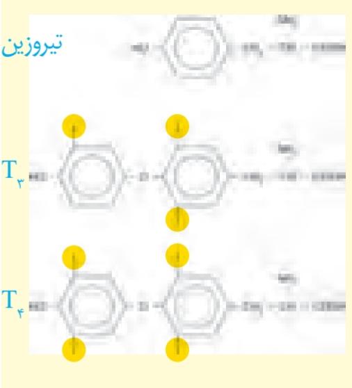 هورمون‌های تیروئیدی