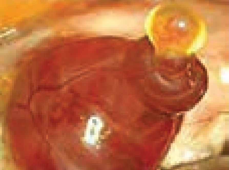 تخمک‌گذاری تخمدان