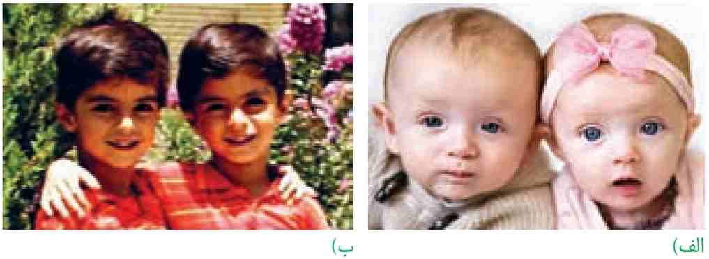 دوقلوهای الف) ناهمسان و ب) همسان