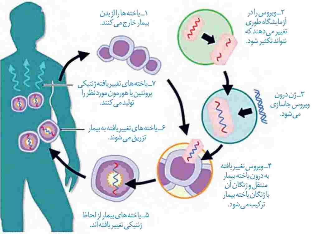 مراحل ژن درمانی