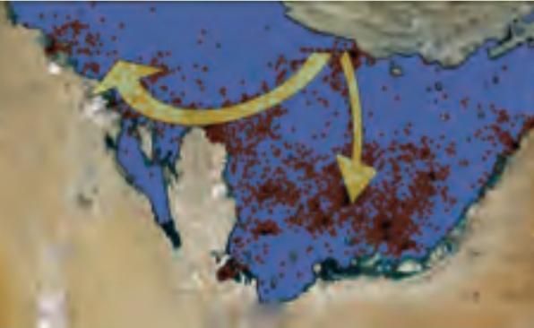 نمای کلی از مسیر حرکت لاک پشتهای ایران و نقاط تجمع و تغذيه لاک پشتهای ردیابی شده