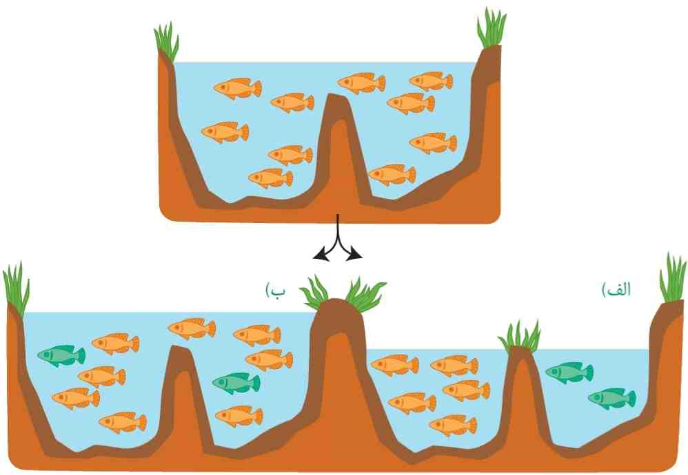 الف) گونه‌زایی دگرمیهنی و ب) هم میهنی