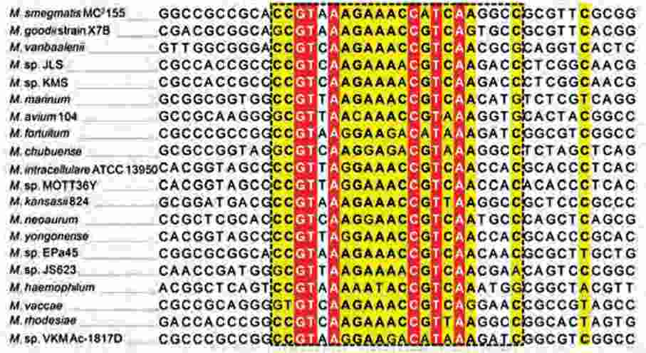 توالیهای حفظ شده در ژن