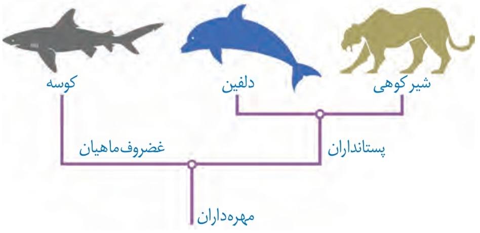 نیای مشترک و گونه‌های خویشاوند