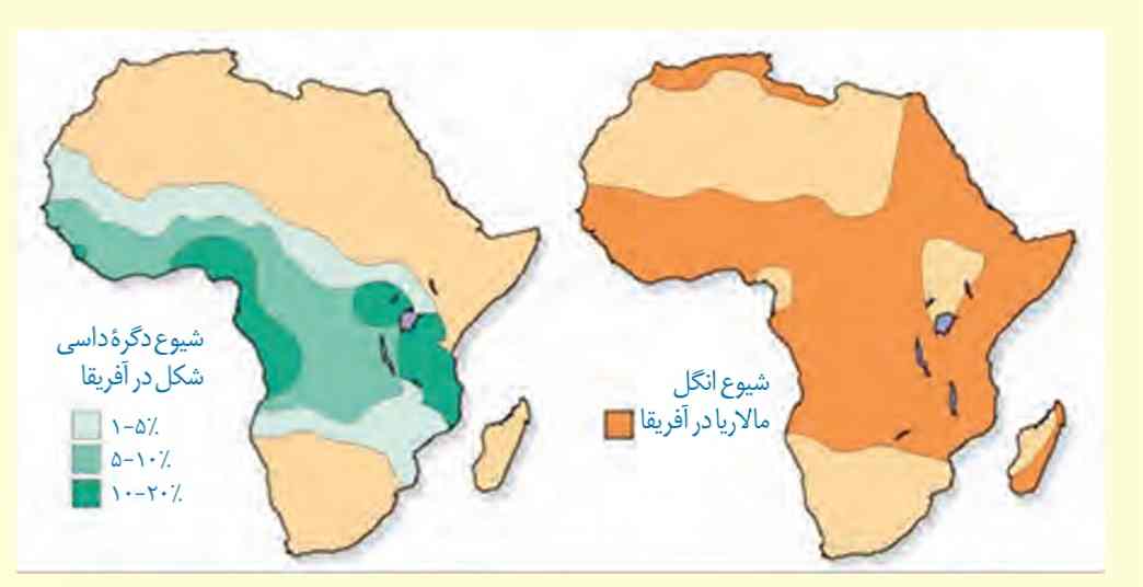 نقشه پراکنش جغرافیایی انگل مالاریا و بیماری کم خونی ناشی از گویچه‌های قرمز داسی در آفریقا