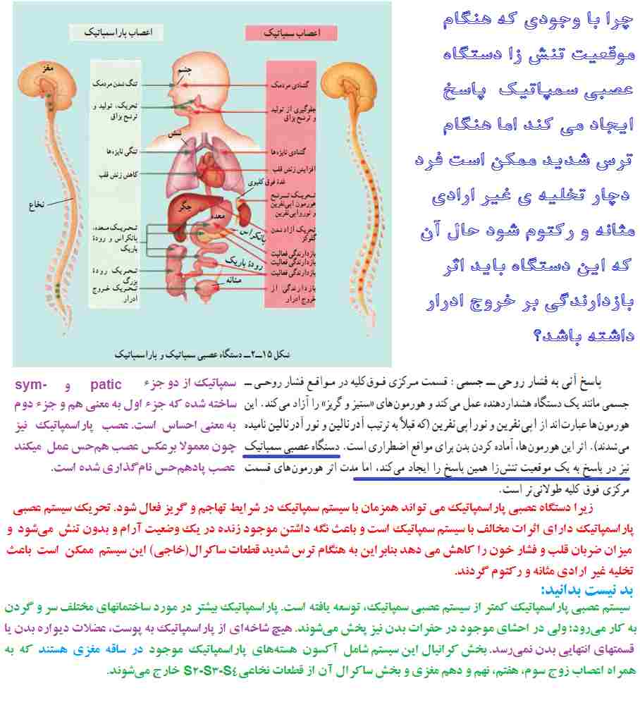 ترس شدید