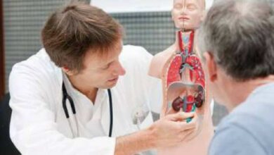 تنظیم اسمزی و دفع مواد زائد؛ هم ایستایی و کلیهها؛ زیستشناسی
