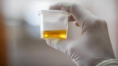 تنظیم اسمزی و دفع مواد زائد؛ تشکیل ادرار و تخلیهٔ آن؛ زیستشناسی