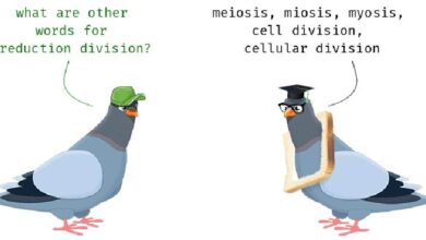 تقسیم یاخته؛ کاستمان (میوز) و تولید مثل جنسی؛ زیستشناسی یازدهم