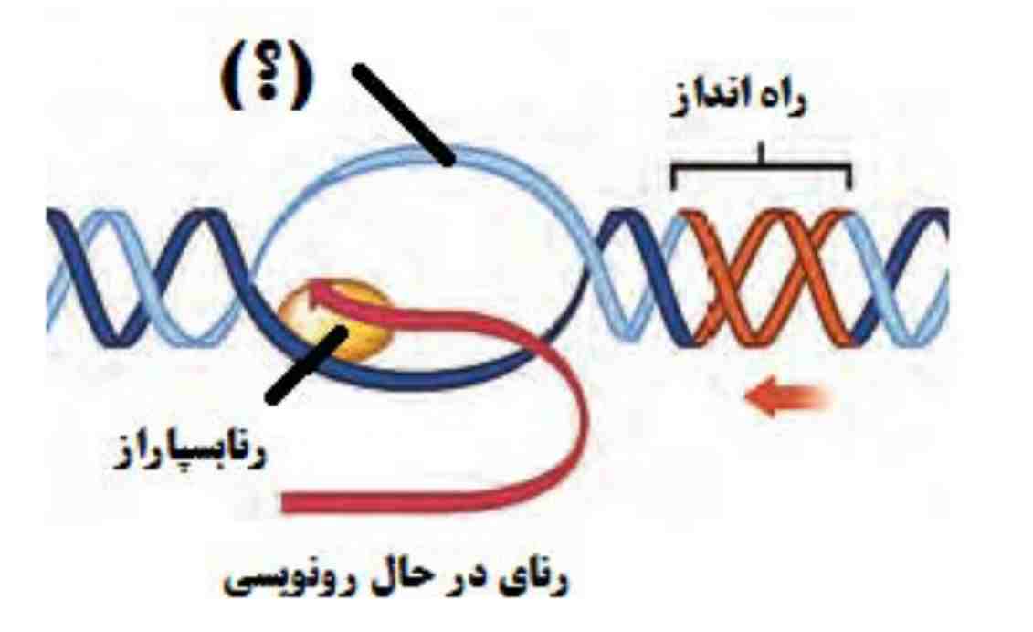 رونویسی