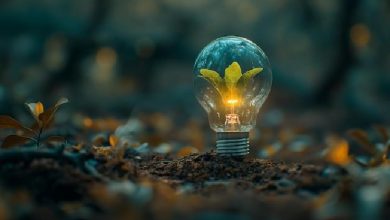 علوم اعصاب پروس؛ انتقال سیناپسی، انواع سیناپسی، بوتولیسم و کزاز