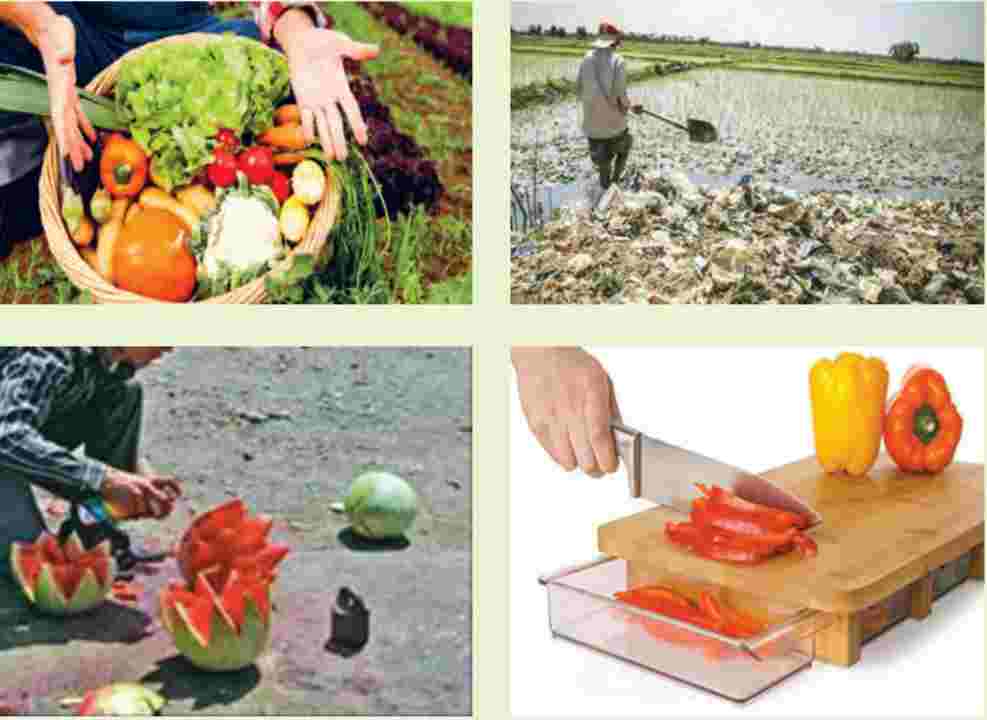 آلودگی مواد غذایی و حفظ بهداشت و ایمنی آنها