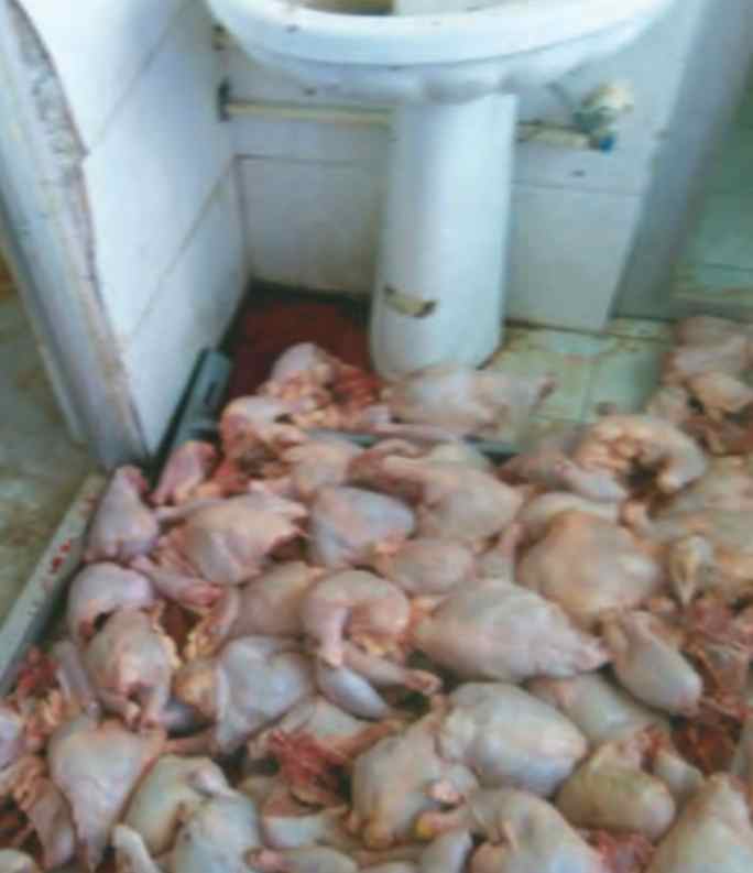 آلودگی مواد غذایی در مرحله نگهداری