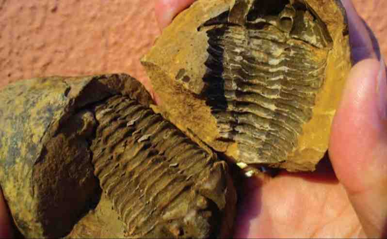 قالب خارجی تشکیل می‌شود.