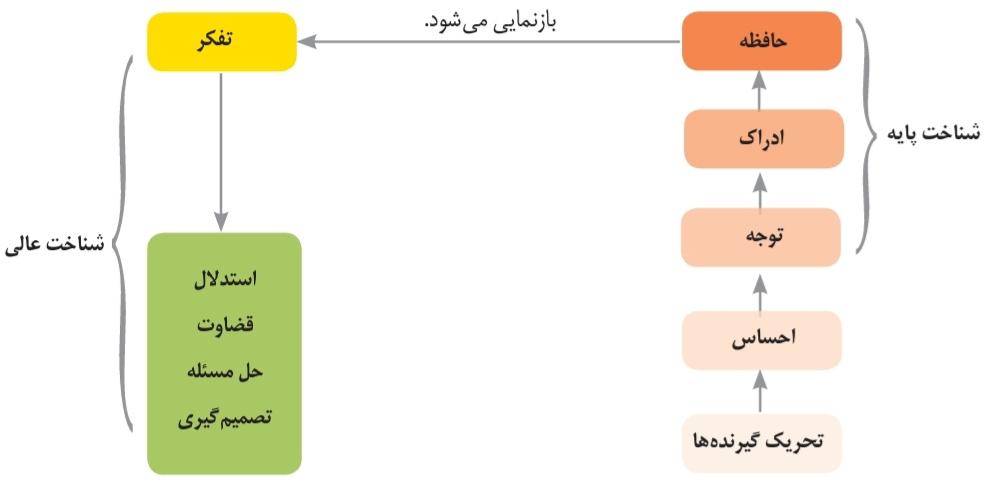 چگونگی شکل‌گیری سطوح مختلف شناخت
