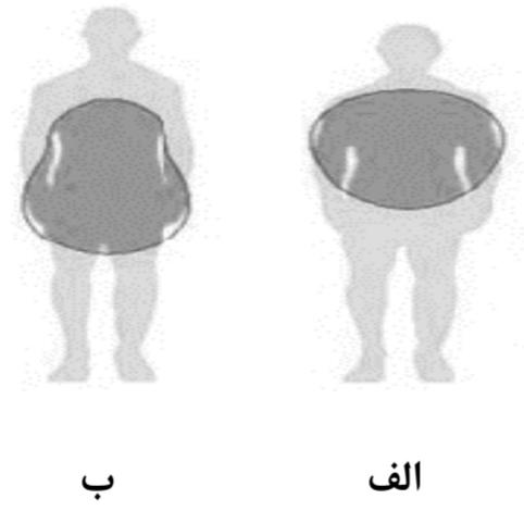 نهایی سلامت و بهداشت