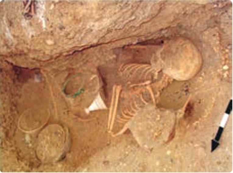 نمونه‌هایی از محسوسات