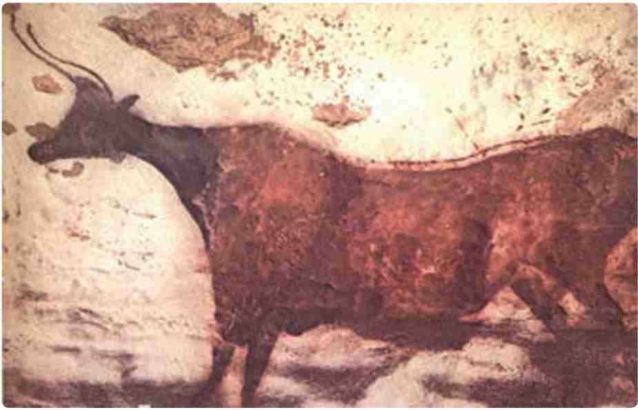 نقاشی روی دیوار غار لاسکو در فرانسه