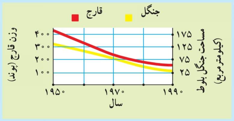 قارچ دنبلان در جنگل بلوط