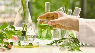 ساختار شیمیایی بدن و ترکیب‌های اصلی موجودات زنده – مواد معدنی، هیدرات‌های کربن، لیپیدها و پروتئین‌ها