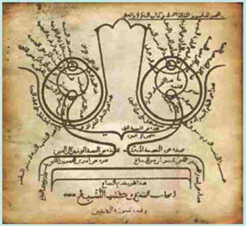 ابن هیثم که اروپاییان او را الحازن؛ عصب چشم