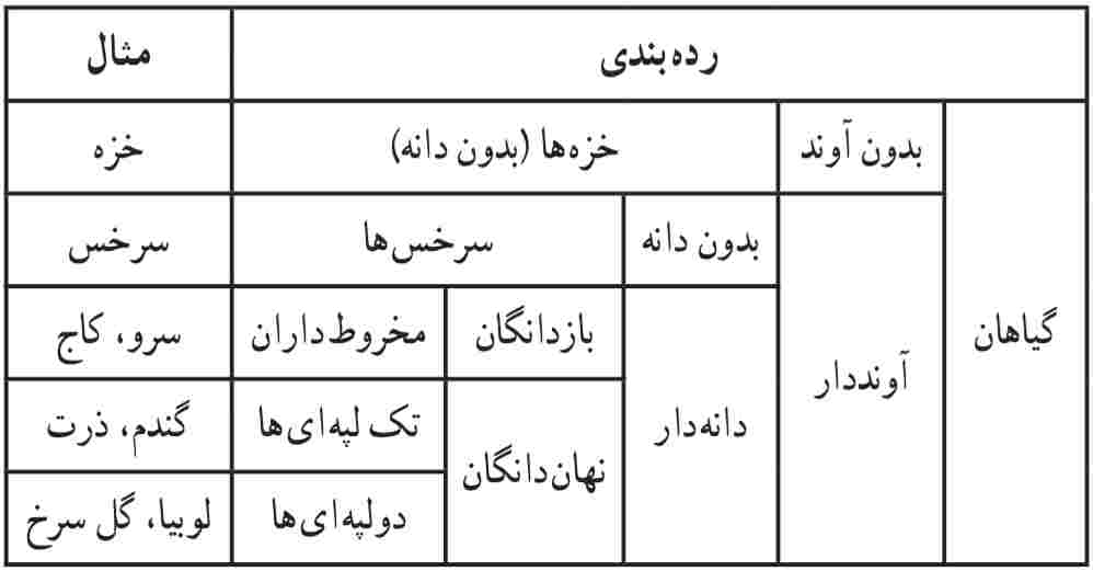 خلاصه‌ای از رده‌بندی گیاهان