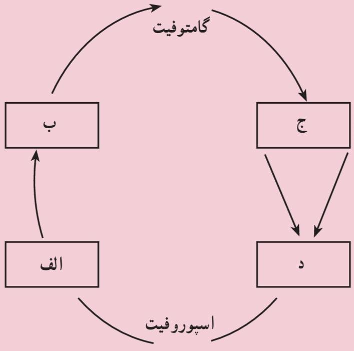چرخه زندگی گیاهان