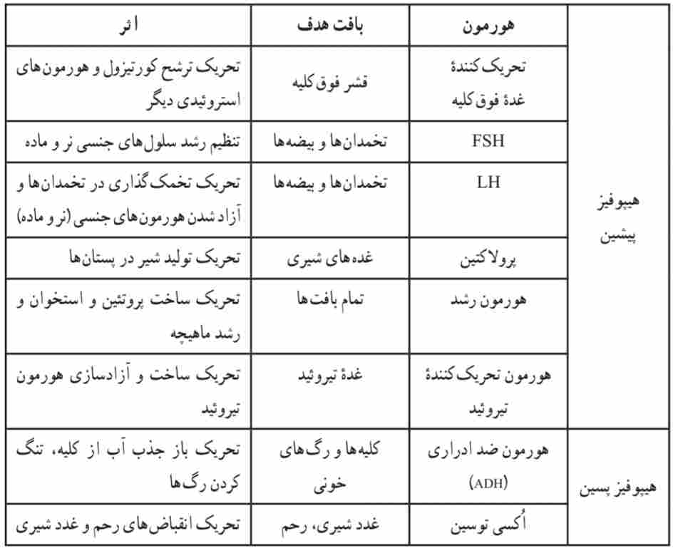 هورمونهای غده هیپوفیز
