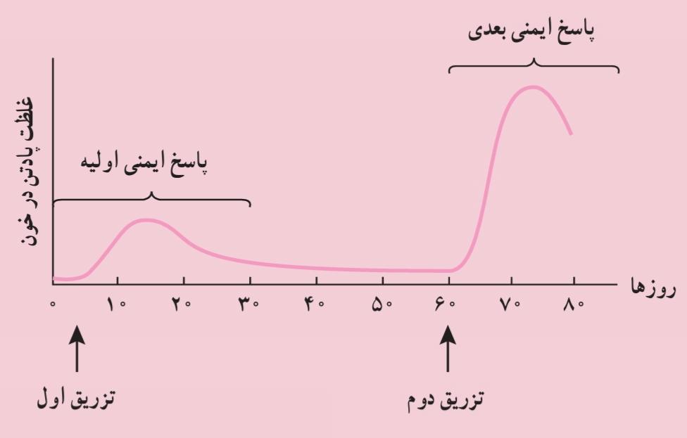 پاسخ ایمنی بدن را در برابر تزریق واکسن