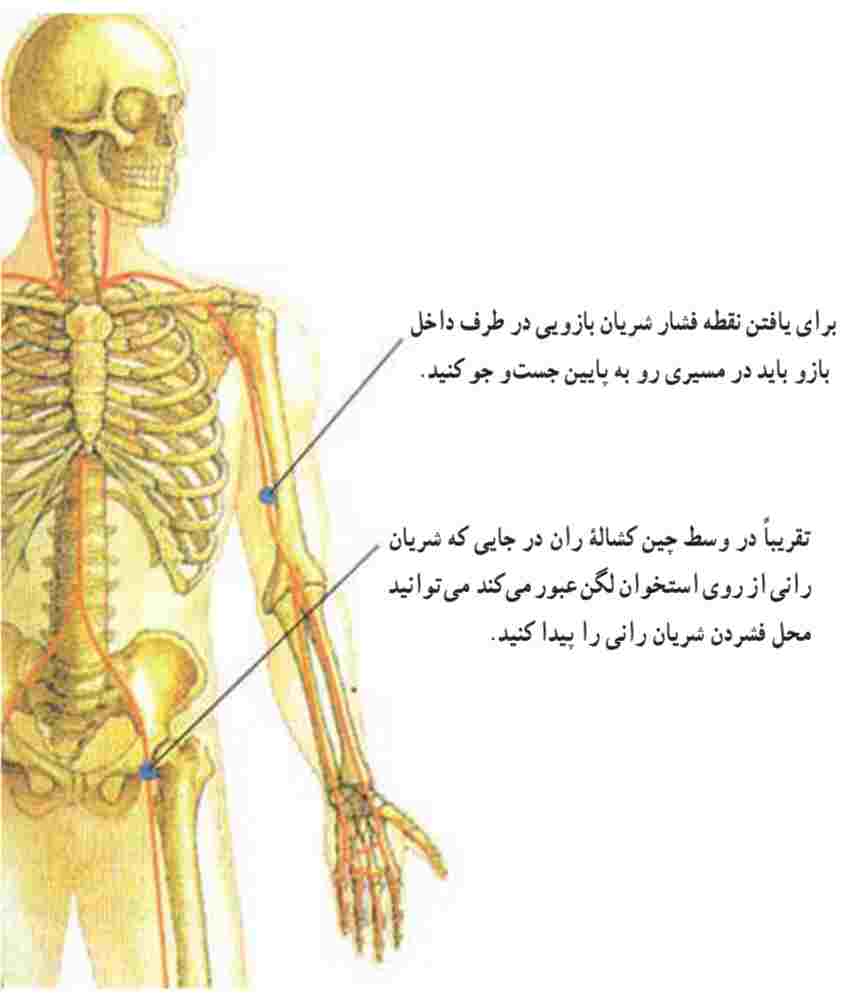 نقاط فشار برای کنترل خون‌ریزی